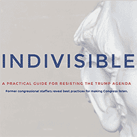 Indivisible Guide
