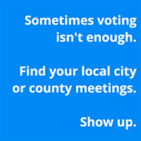 More than Votes